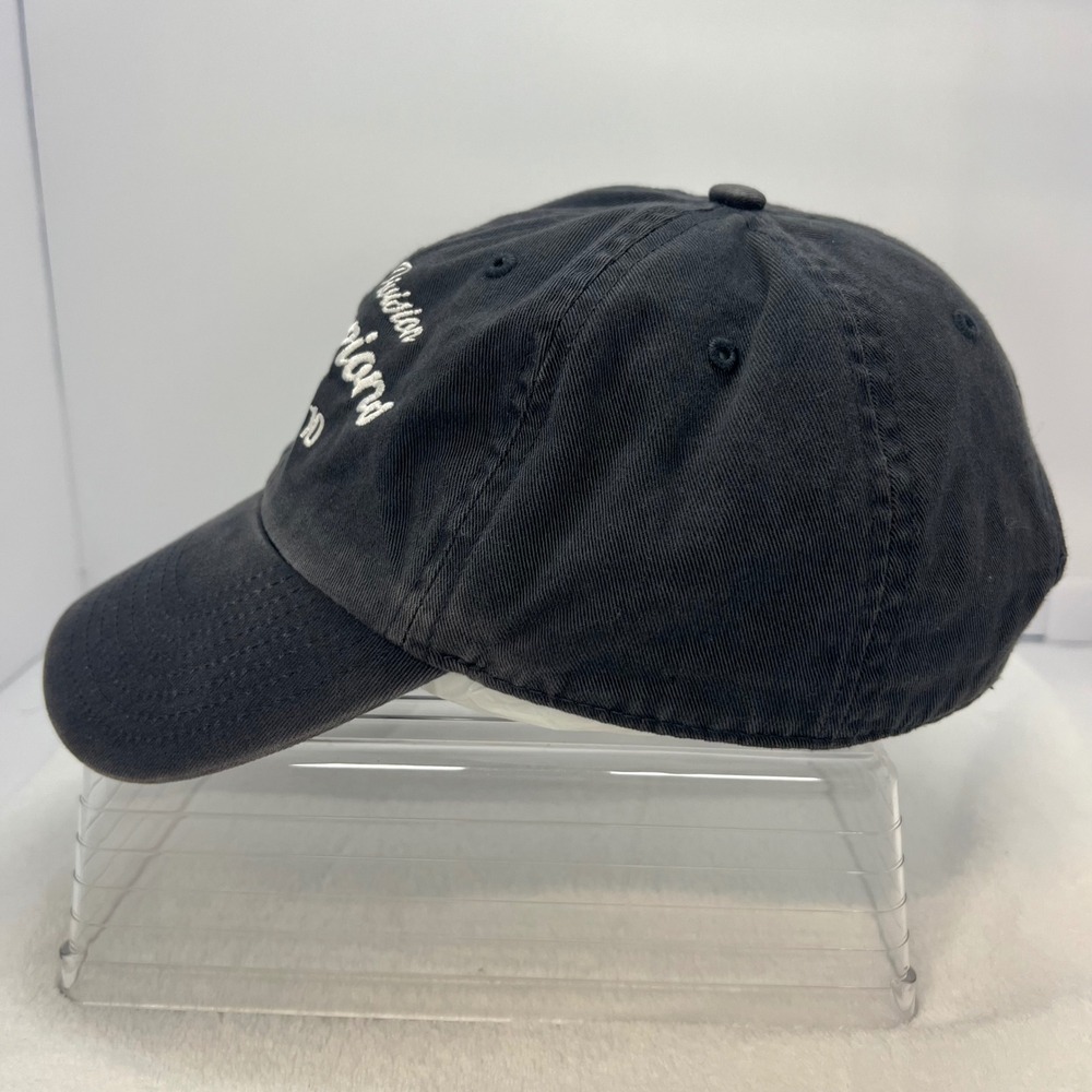 TAMPA BAY RAYS Hat OSFA Navy Blue 2010 AL East Champions Cap '47 Brand Baseball - Picture 3 of 10